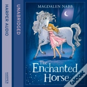 Capa do artigo Enchanted Horse