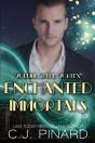 Enchanted Immortals 2: The Vortex - Preview