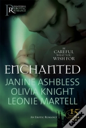 Capa do artigo Enchanted