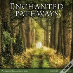 Capa do artigo Enchanted Pathways