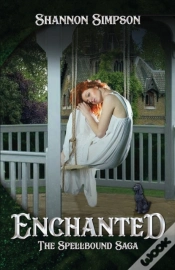 Capa do artigo Enchanted