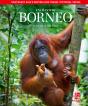 Enchanting Borneo - Preview