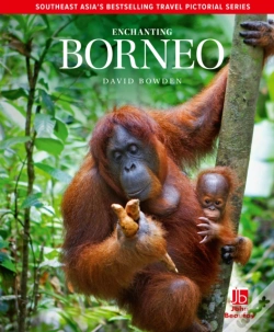 Capa do artigo Enchanting Borneo