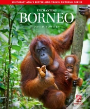 Capa do artigo Enchanting Borneo