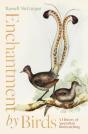 Enchantment By Birds - Preview