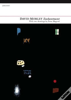 Capa do artigo Enchantment
