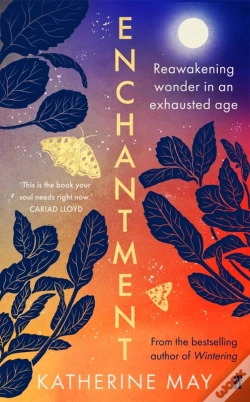 Capa do artigo Enchantment