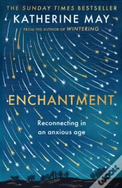 Capa do artigo Enchantment