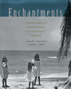 Capa do artigo Enchantments
