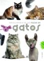 Enciclopedia De Las Razas De Gatos - Preview