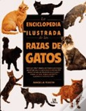 Capa do artigo Enciclopedia Ilustrada De Las Razas De Gatos