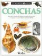 Enciclopédia Visual - Conchas - Preview
