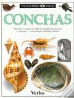 Capa do artigo Enciclopédia Visual - Conchas