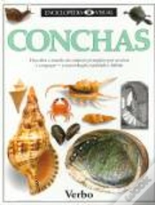 Capa do artigo Enciclopédia Visual - Conchas