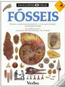 Capa do artigo Enciclopédia Visual - Fósseis