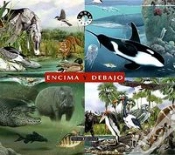 Capa do artigo Encima Y Debajo