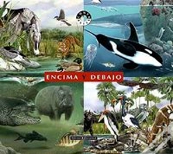 Capa do artigo Encima Y Debajo