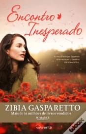 Capa do artigo Encontro Inesperado