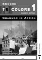 Encore Tricolore Nouvelle 1 Grammar In Action Pack (X8) - Preview