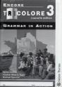 Encore Tricolore Nouvelle 3 Grammar In Action Pack (X8) - Preview