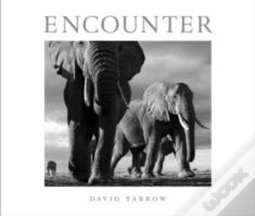 Encounter