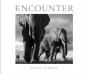 Encounter - Preview