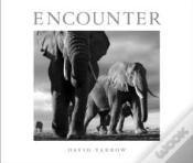 Capa do artigo Encounter