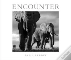 Capa do artigo Encounter