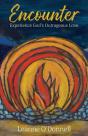 Encounter: Experience God'S Outrageous L - Preview