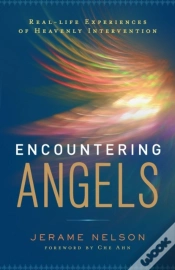 Capa do artigo Encountering Angels