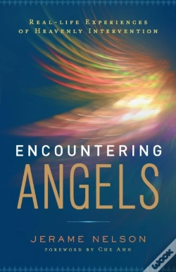 Capa do artigo Encountering Angels