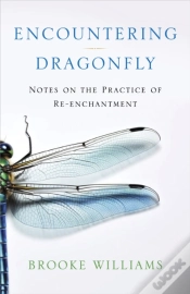 Capa do artigo Encountering Dragonfly