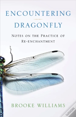 Capa do artigo Encountering Dragonfly