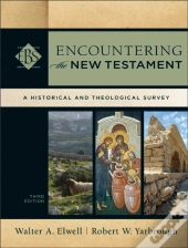 Encountering The New Testament (Encountering Biblical Studies)