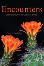 Encounters - Preview