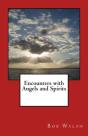 Encounters With Angels And Spirits - Preview