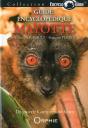 Encycloguide; Guide Encyclopédique De Mayotte - Preview