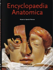 Capa do artigo Encyclopaedia Anatomica