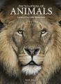 Encyclopedia Of Animals - Preview