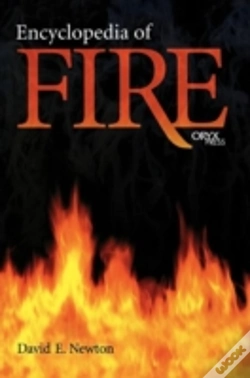 Capa do artigo Encyclopedia Of Fire