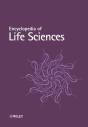Encyclopedia Of Life Sciences - Preview