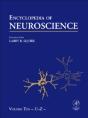 Encyclopedia Of Neuroscience - Preview