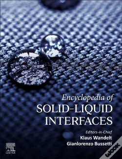 Capa do artigo Encyclopedia Of Solid-Liquid Interfaces