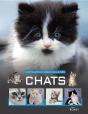 Encyclopedie Essentielle Des Chats - Preview