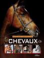 Encyclopedie Essentielle Des Chevaux - Preview