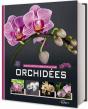 Encyclopedie Essentielle Des Orchidees - Preview