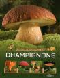 Encyclopedie Essentielles Des Champignons - Preview