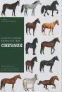 Encyclopedie Mondiale Des Chevaux - Preview
