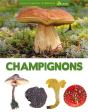 Encyclopédie Visuelle Des Champignons - Preview