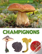 Capa do artigo Encyclopédie Visuelle Des Champignons